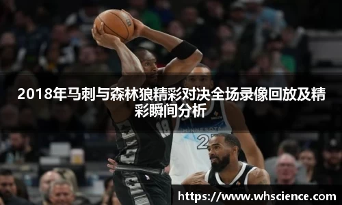 BG视讯官方网站